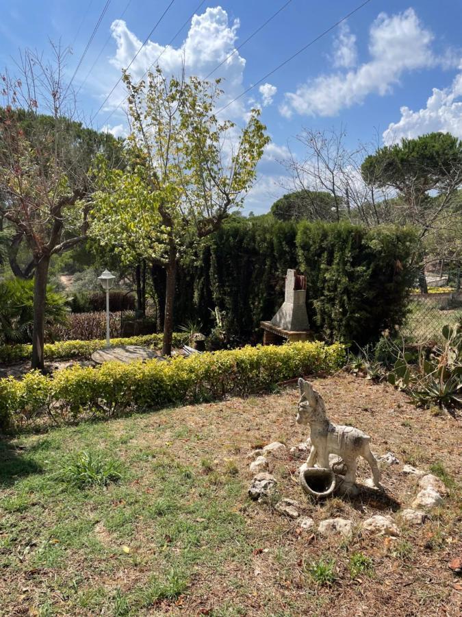 Villa Herlinda Costa Brava - With Swiming Pool Massanet De La Selva Exteriör bild