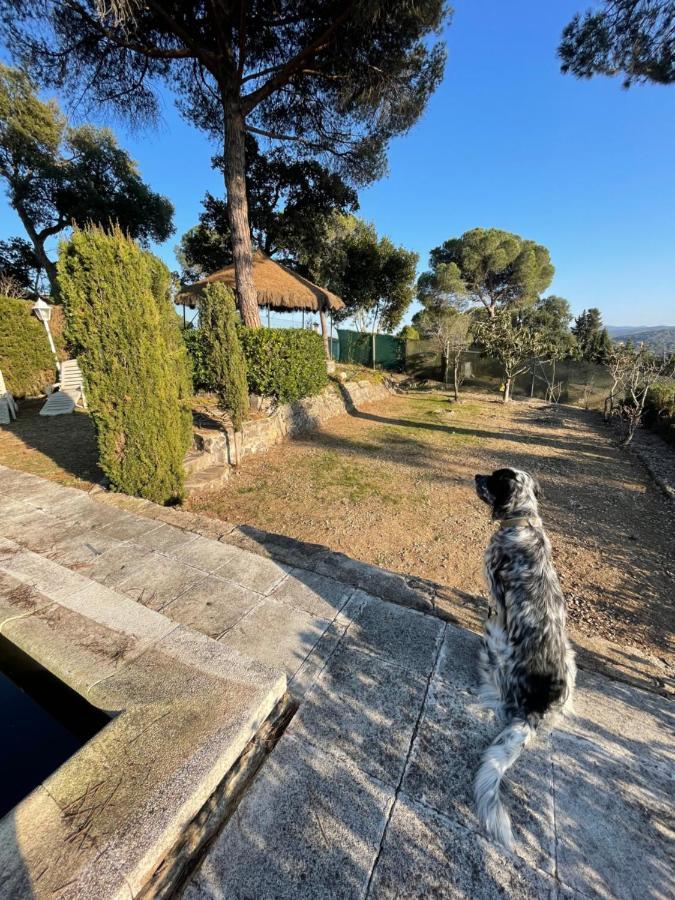 Villa Herlinda Costa Brava - With Swiming Pool Massanet De La Selva Exteriör bild
