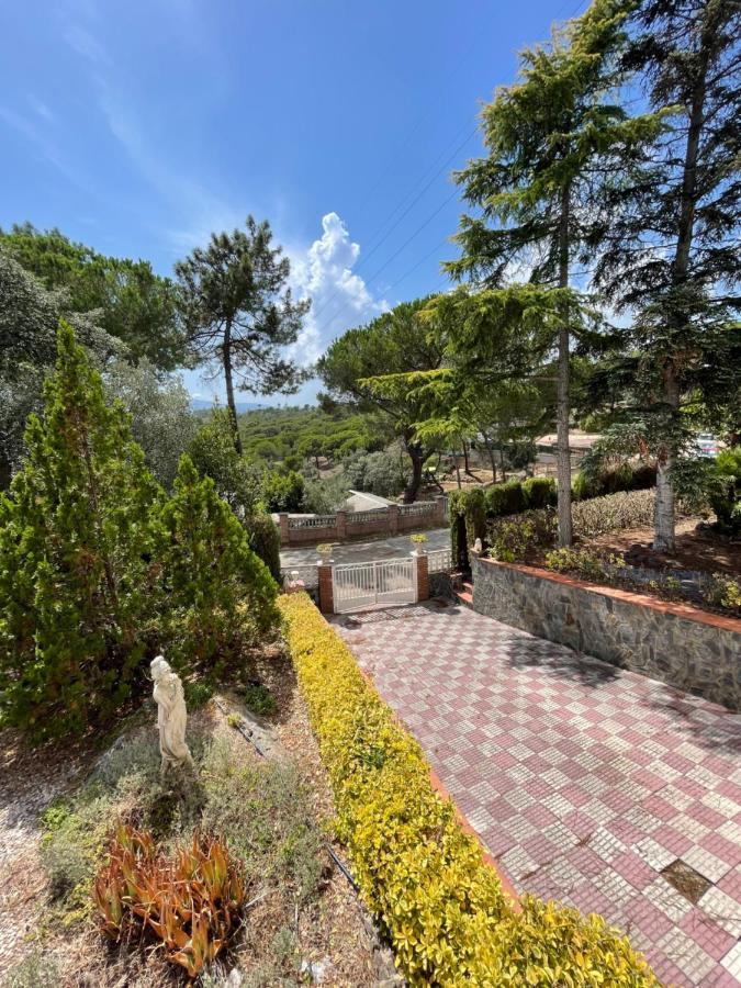 Villa Herlinda Costa Brava - With Swiming Pool Massanet De La Selva Exteriör bild